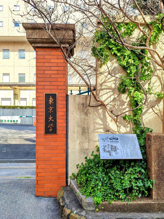 【东京大学｜学术殿堂与历史光影】