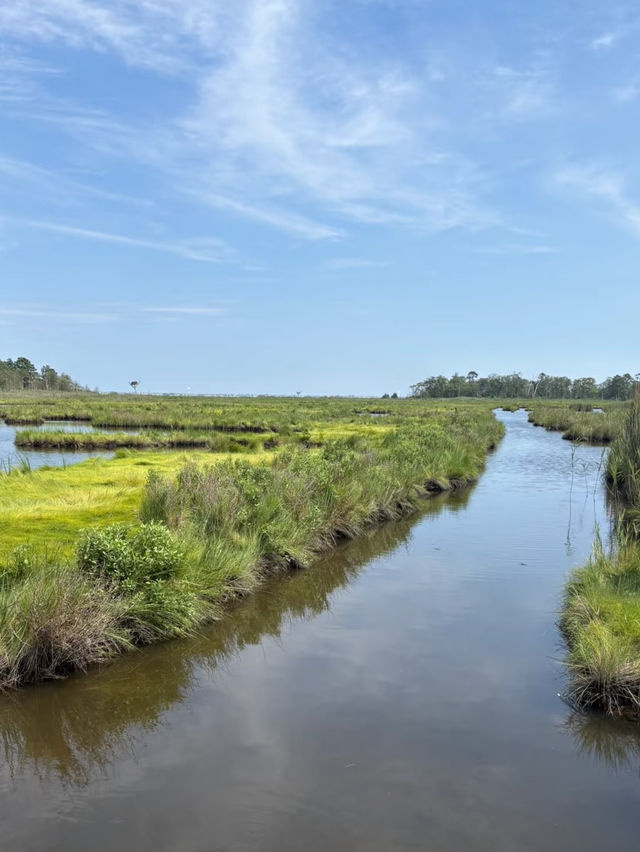 Cattus Island County Park – New Jersey