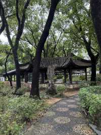 Tranquility Amid the Bustle: Walled City Park