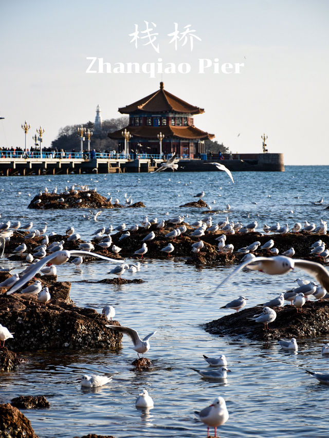 ท่าเรือสุดสวยในเมืองชิงเต่า 🕊️🇨🇳 ท่าเรือสุดสวยในเมืองชิงเต่า 🕊️🇨🇳
