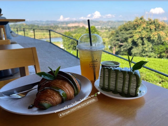 ไร่ชาฉุยฟง จังหวัดเชียงราย 🍵