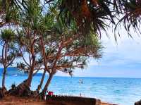 หาดเตยงาม