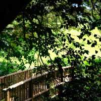 Auckland Botanic Gardens – A Living Treasure of Flora