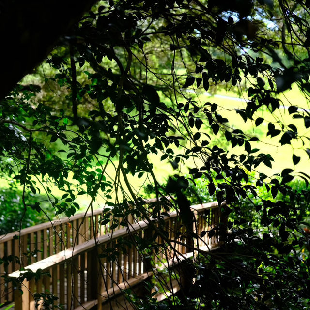 Auckland Botanic Gardens – A Living Treasure of Flora