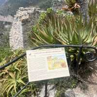 🇫🇷法國埃茲-Jardin Exotique d’Eze 🌵