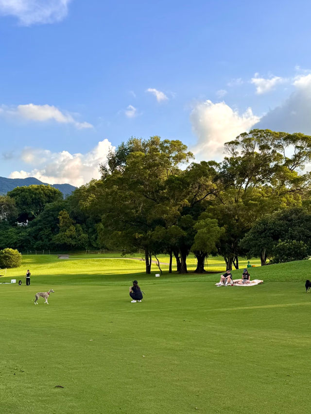 9月必去靚景推薦🌳  