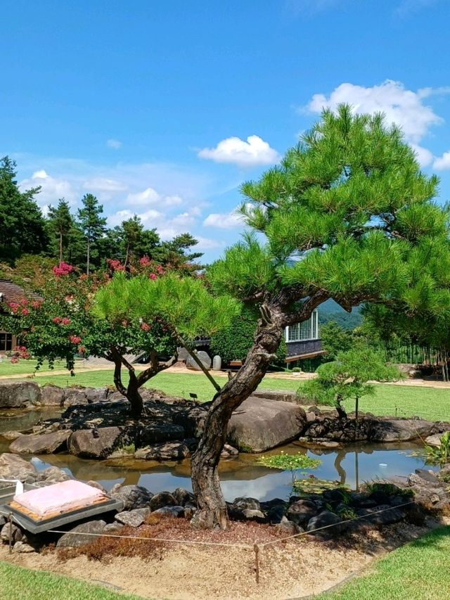 연꽃잎과 숲 사이의 숨숨 노트