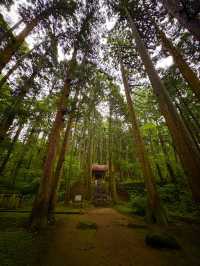 【福井】/勝山/白山神社の総本山！日本の山信仰を代表する神社