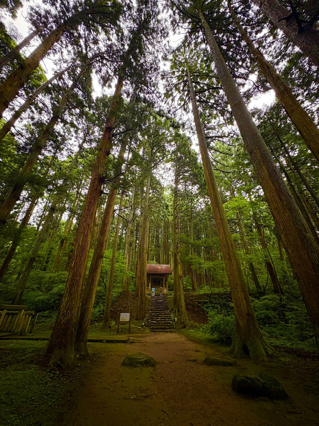 【福井】/勝山/白山神社の総本山！日本の山信仰を代表する神社