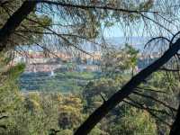 Monsanto Forest Park