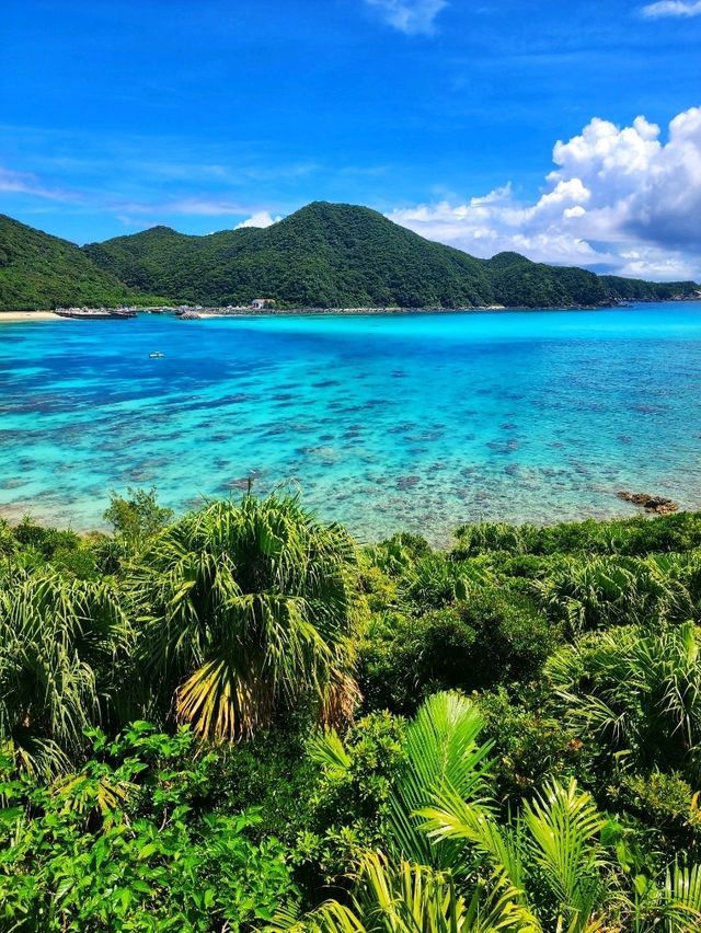 沖繩渡嘉敷島🌊|體驗海島慢活日常🏝