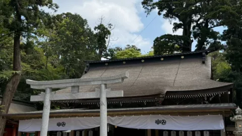 정말 사슴이 있어요! 동양 3대 명사 중 하나인 이바라키현 가시마 신궁 — traveler post in 가시마 시