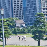 Secrets of Kokyo Gaien National Garden: Tokyo’s Royal Past Revealed 🇯🇵🪨