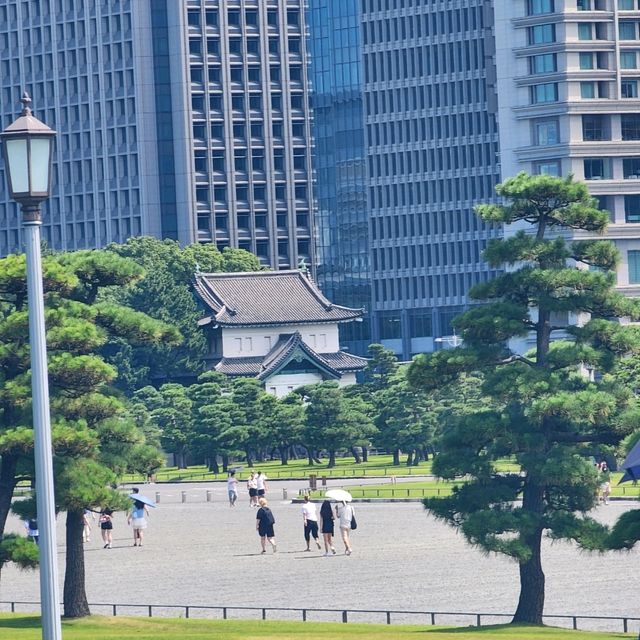 Secrets of Kokyo Gaien National Garden: Tokyo’s Royal Past Revealed 🇯🇵🪨 Secrets of Kokyo Gaien National Garden: Tokyo’s Royal Past Revealed 🇯🇵🪨
