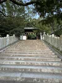 江戸時代以前の天守が残る松山城 