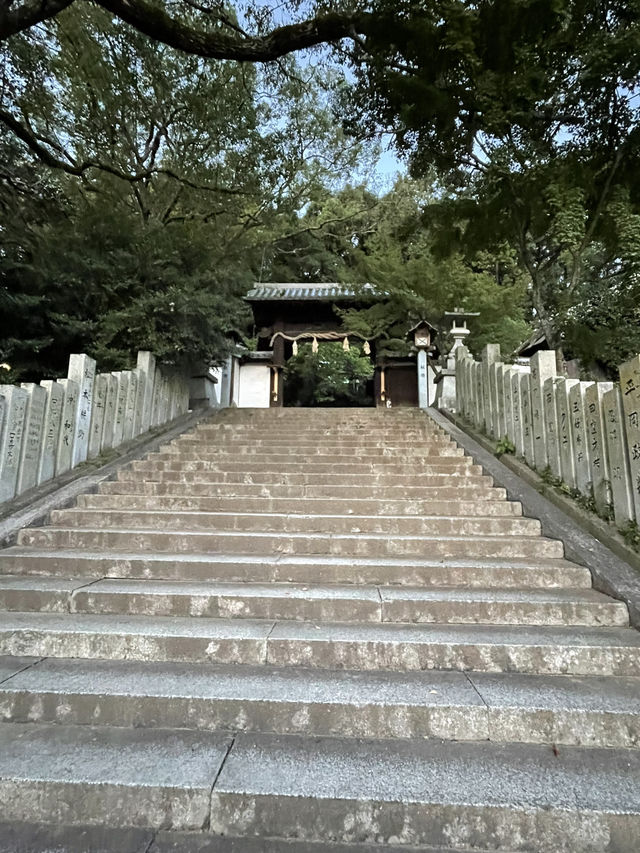 江戸時代以前の天守が残る松山城 