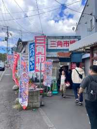 北海道景點分享 小樽遊 北廣島火腿球場