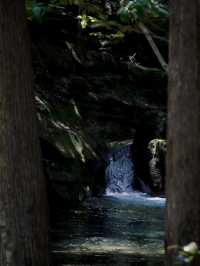 💧 富田の水と山道の小さな滝（和歌山・白浜町）