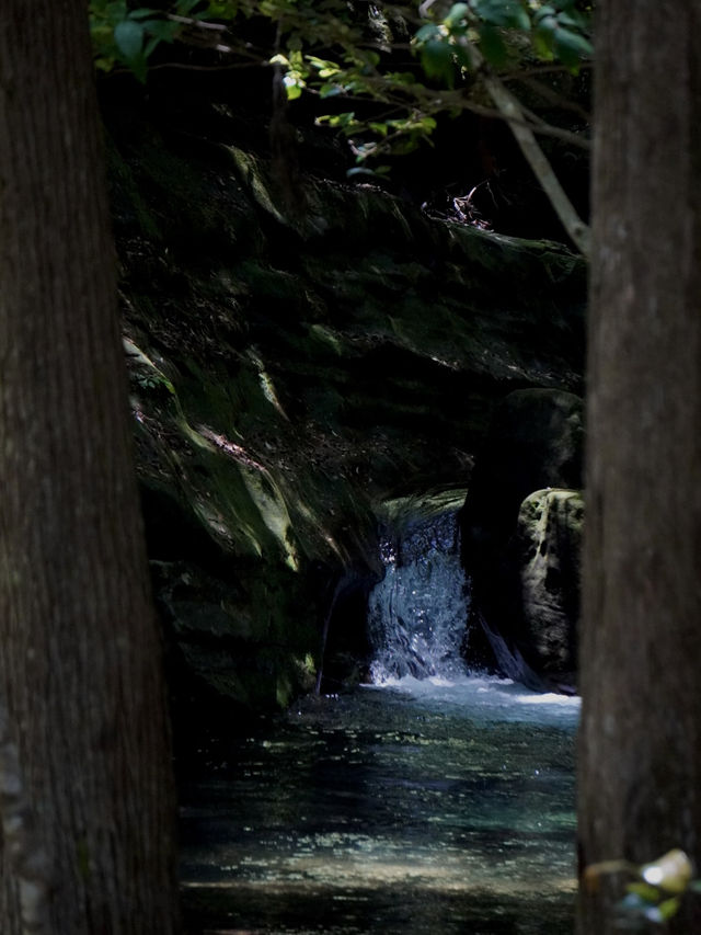 💧 富田の水と山道の小さな滝（和歌山・白浜町）