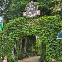 ํ์นด๋ฐ๋ , ํ์์ ํ๋ธ ํฅ ๊ฐ๋ํ ์ ์ ๐ฟ