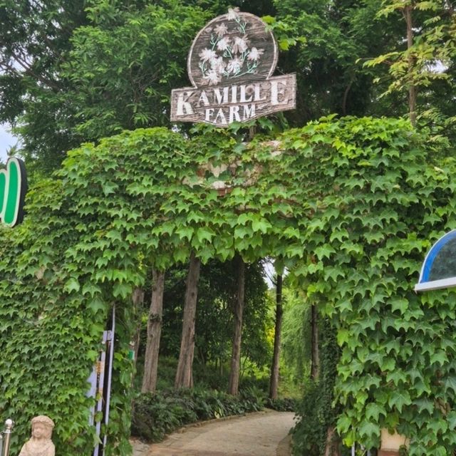 ํ์นด๋ฐ๋ , ํ์์ ํ๋ธ ํฅ ๊ฐ๋ํ ์ ์ ๐ฟ ํ์นด๋ฐ๋ , ํ์์ ํ๋ธ ํฅ ๊ฐ๋ํ ์ ์ ๐ฟ