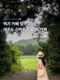 제주 숲 속 힐링카페 + 인생샷 포토존