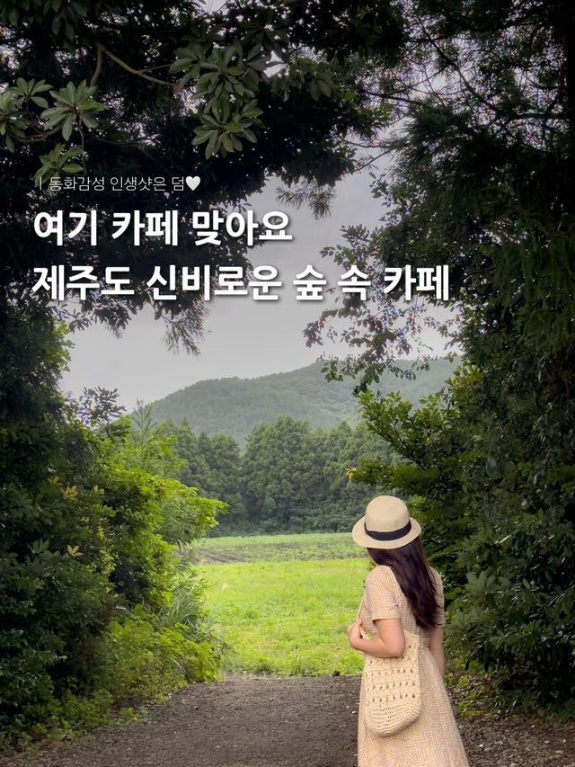 제주 숲 속 힐링카페 + 인생샷 포토존