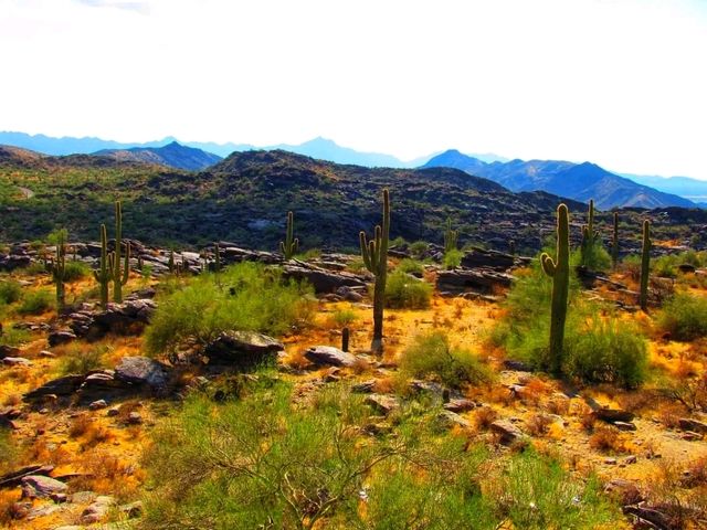 🌅 “South Mountain Park & Preserve – Where the Desert Meets the Sky!” 🌅 “South Mountain Park & Preserve – Where the Desert Meets the Sky!”