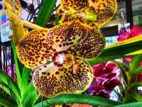 🌺 Marie Selby Botanical Gardens – A Tropical Oasis by the Bay