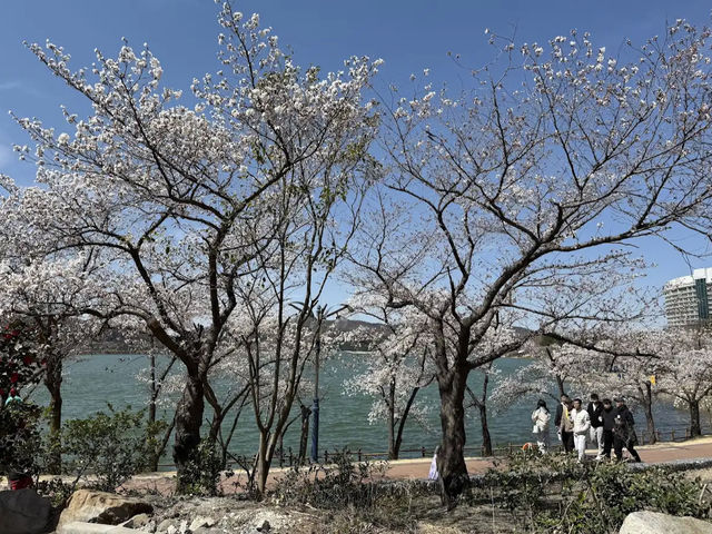 Bomunho Lake Tourism Complex