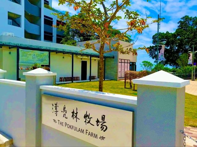 The Pokfulam Farm – Where Heritage Meets Nature