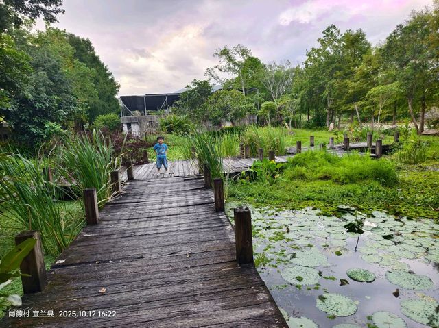 宜蘭陰雨世外桃源賞景🎋勝洋水草休閒園區