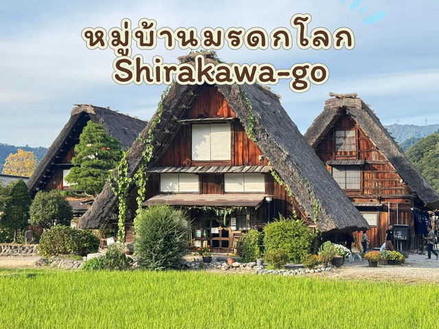 Shirakawa-go หมู่บ้านมรดกโลก 🛖🌿