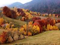 Piatra Craiului