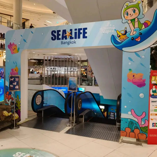 พามาสัมผัสโลกแฟนตาซีใต้ท้องทะเล บรรยากาศน่ารัก