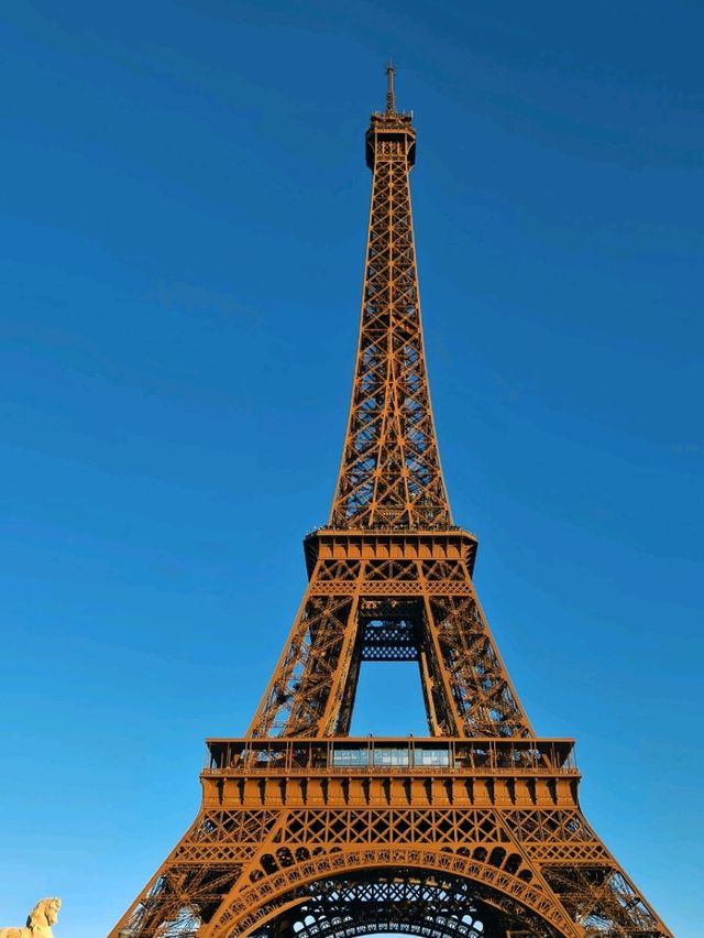 altTitle