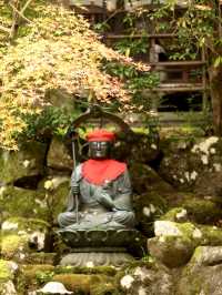 永平寺の紅葉。山門辺りはグラデーション豊かで絶景