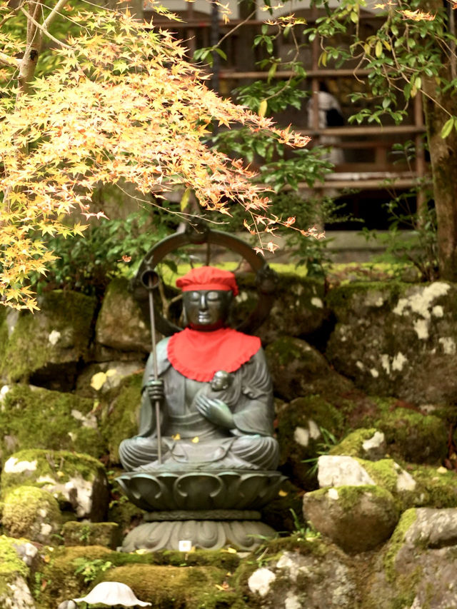 永平寺の紅葉。山門辺りはグラデーション豊かで絶景 永平寺の紅葉。山門辺りはグラデーション豊かで絶景
