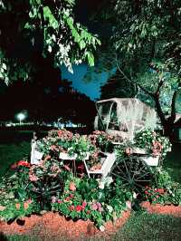 ASEAN KL Park Festival 2025: Blossoms of Iskandar Puteri
