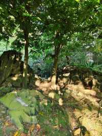 A Secluded Paradise by a Natural Lakeside Limestone Cliff