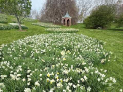 Winterthur Museum, Garden & Library