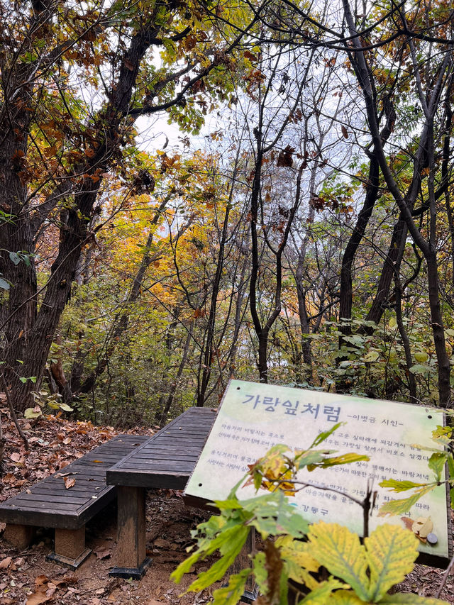 🍁걷고 또 걷고, 둘레길 걷기