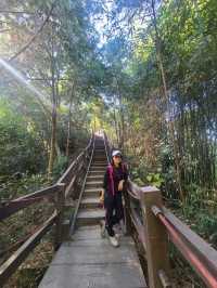 【新田步道・輕登小百岳-聚興山｜的山林小旅行】