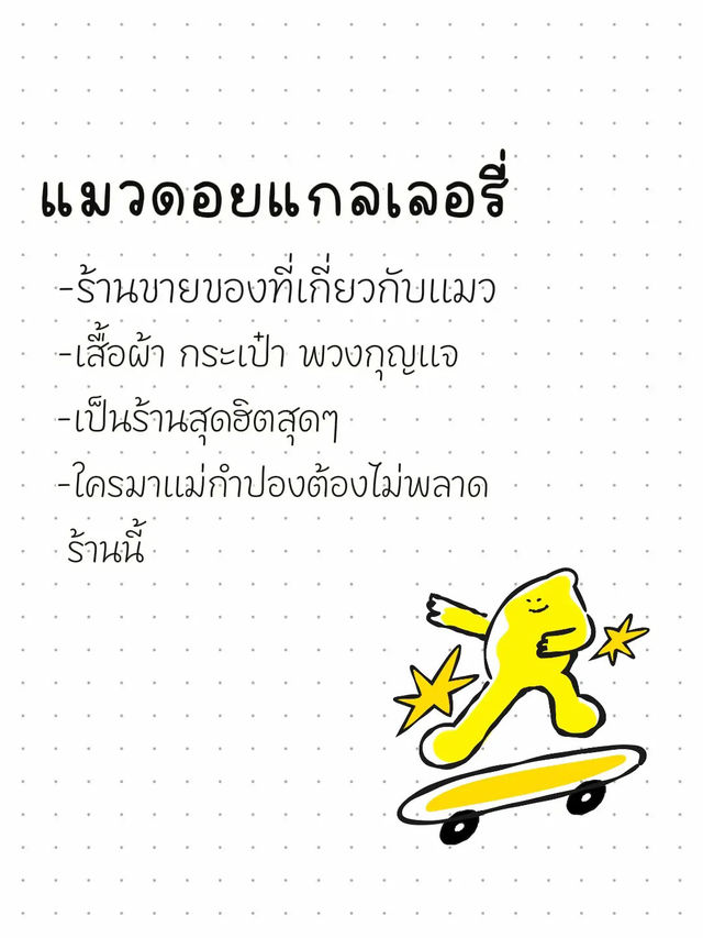 🐾 รีวิวร้าน “แมวดอยแกลเลอรี่” 🐾 รีวิวร้าน “แมวดอยแกลเลอรี่”