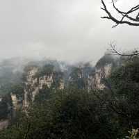 Zhangjiajie National Forest Park — East Gate One-Day Route That Actually Works
