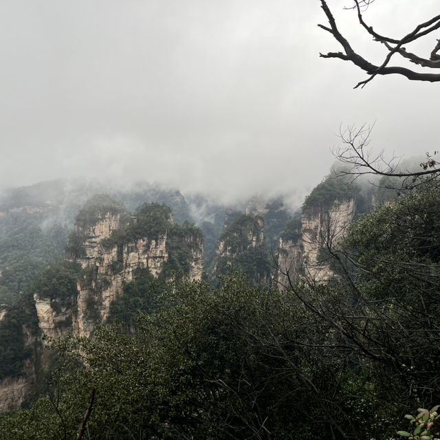 Zhangjiajie National Forest Park — East Gate One-Day Route That Actually Works Zhangjiajie National Forest Park — East Gate One-Day Route That Actually Works