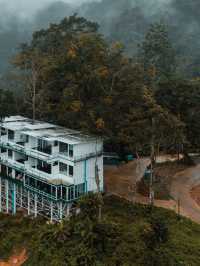 " ป่าเหนือหมอก ม่อนเงาะ Pa Nua Mok " 