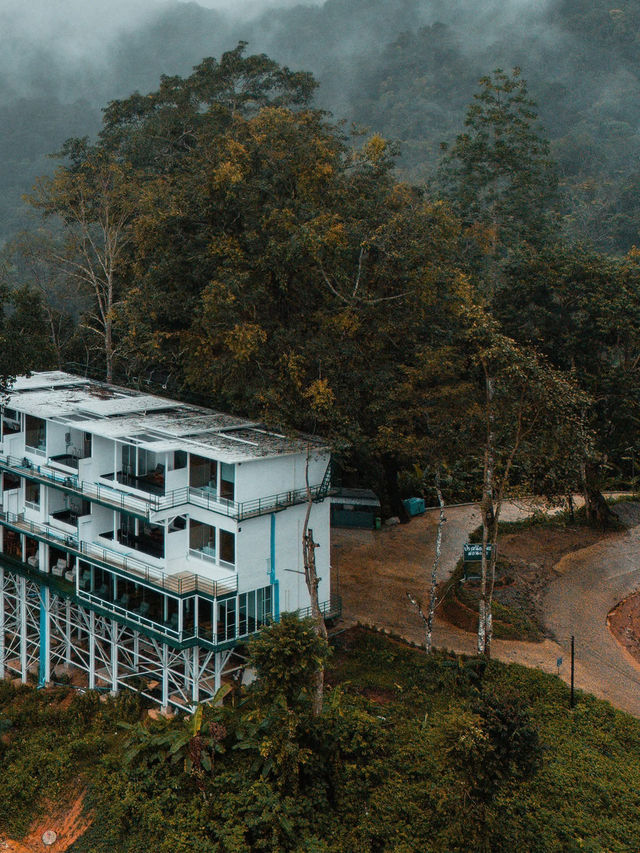 " ป่าเหนือหมอก ม่อนเงาะ Pa Nua Mok " 