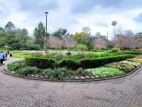 Beautiful park excellent for walking, nature, birdwatching and relaxing. Not many flowers more landscapes and beautiful trees.