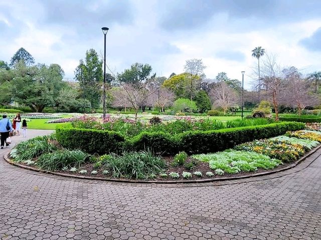 Beautiful park excellent for walking, nature, birdwatching and relaxing. Not many flowers more landscapes and beautiful trees.